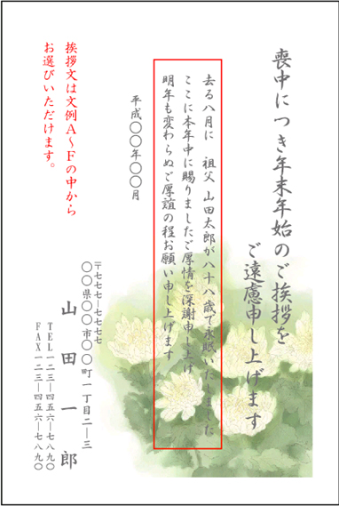 菊 菊